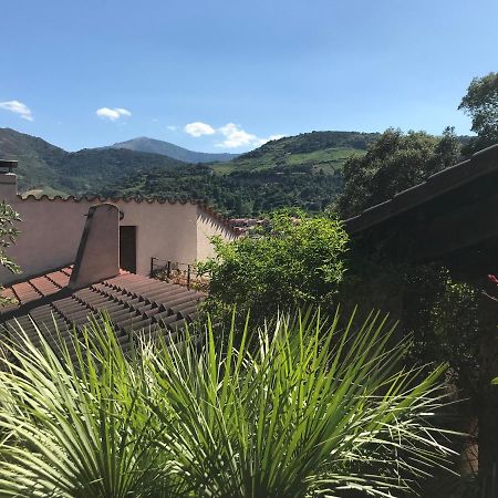 Appartamento Les Chênes-lièges d'Ambeille Collioure Esterno foto