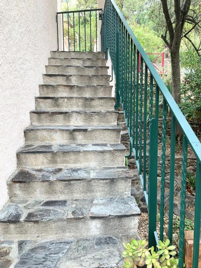 Appartamento Les Chênes-lièges d'Ambeille Collioure Esterno foto
